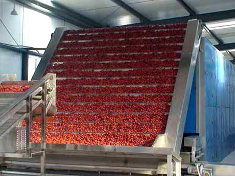 �޺�����ɻ�